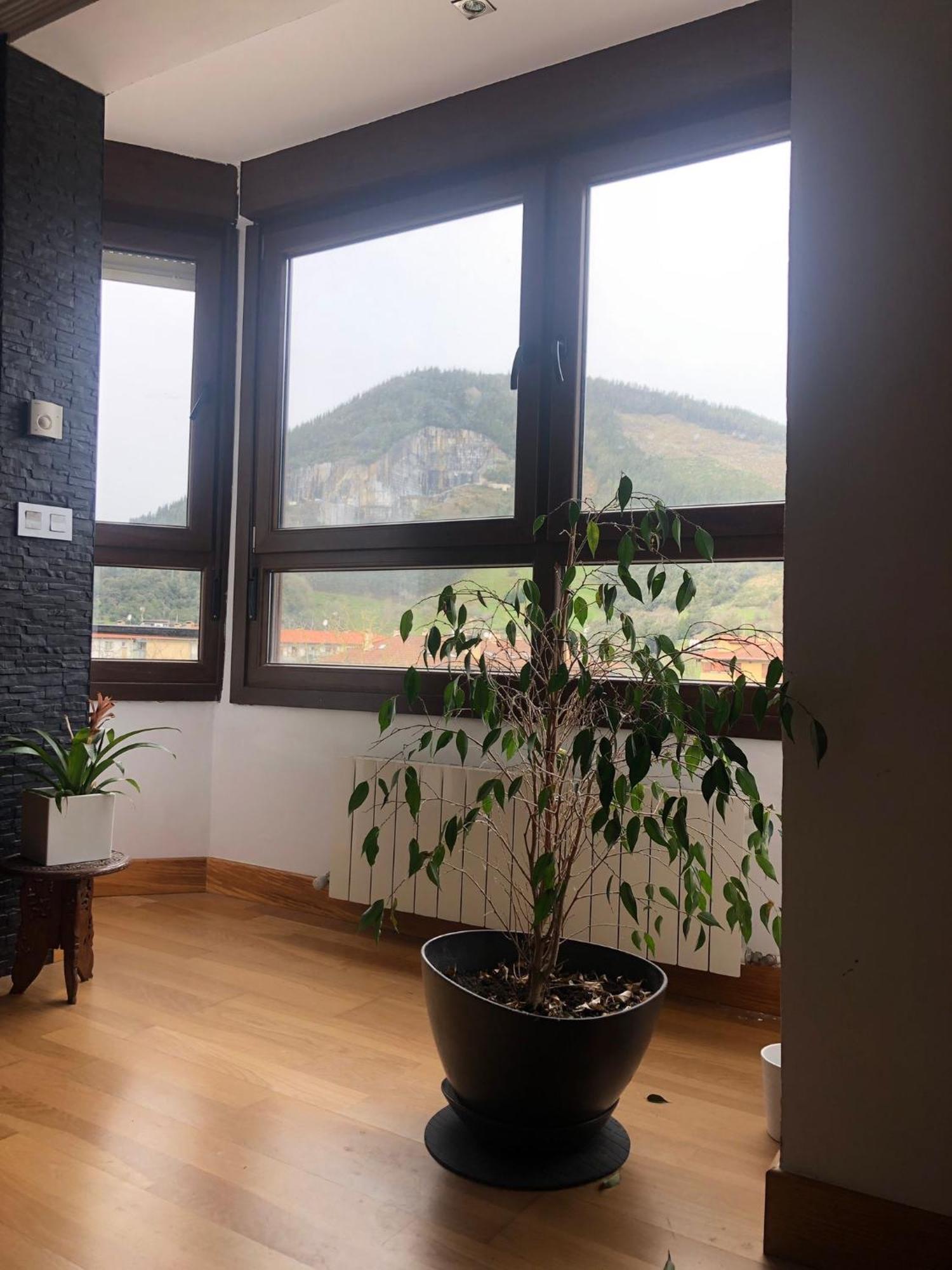 Duplex Markina Xemein Marquina-Jemein Ngoại thất bức ảnh